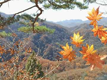 澳門(mén)彩開(kāi)獎(jiǎng)結(jié)果今晚開(kāi)獎(jiǎng)是852期嗎,劉亦菲新雜志御姐范十足